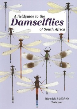 a field guide to the dragonflies of south africa