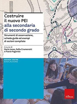 costruire il nuovo pei alla secondaria di secondo grado strumenti di