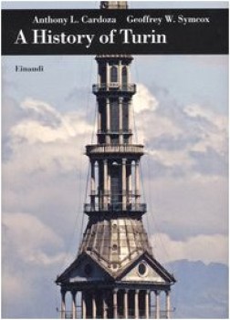 a history of turin