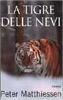 tigre delle nevi