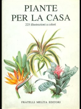 piante per la casa