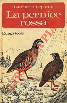 pernice rossa