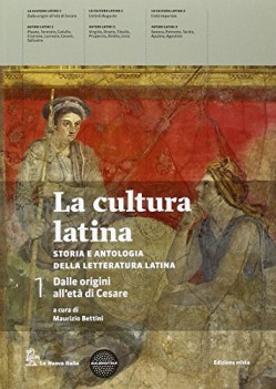 cultura latina 1 latino, letteratura