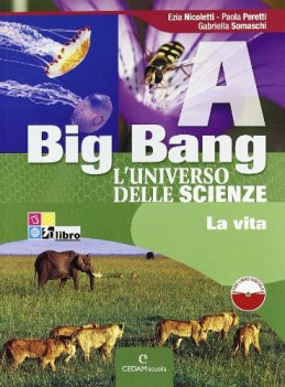 big bang l\'universo delle scienze (4t) scienze scuola media