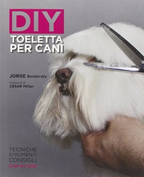 diy toeletta per cani