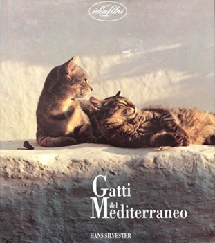 gatti del mediterraneo ediz illustrata