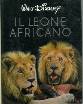 leone africano