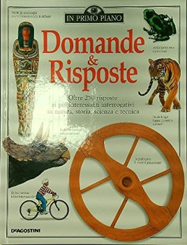 domande e risposte