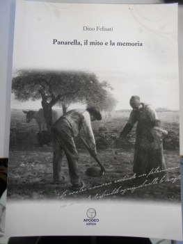 panarella il mito e la memoria