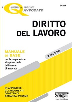 diritto del lavoro manuale di base per la preparazione alla prova ora