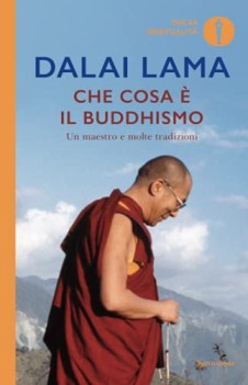 che cosa e il buddhismo