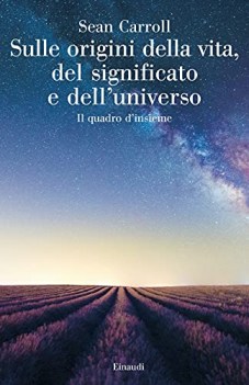 sulle origini della vita del significato e dell\'universo il quadro d\'insieme