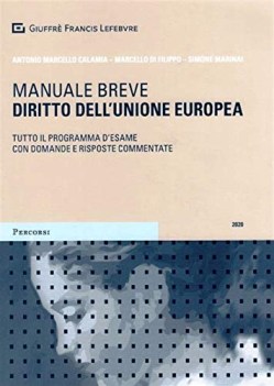 Manuale breve diritto dell\'unione europea VE