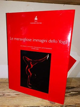 meravigliose immagini dello yoga