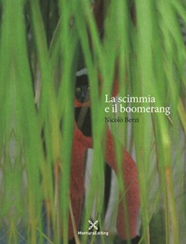 scimmia e il boomerang