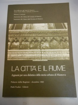 citta e il fiume appunti per una didattica della storia urbana di mantova