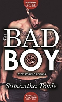 Bad boy the storm series vol.1