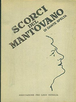 scorci del mantovano