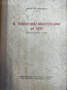 territorio mantovano nel 1859