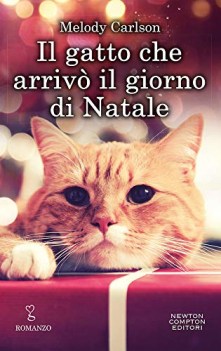 gatto che arriv il giorno di natale