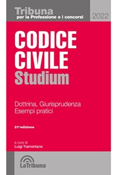 codice civile studium dottrina giurisprudenza schemi esempi pratici