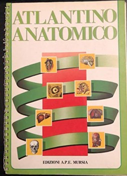 atlantino anatomico