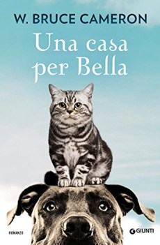 casa per bella qua la zampa vol 3