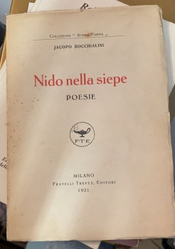 nido nella siepe 1921