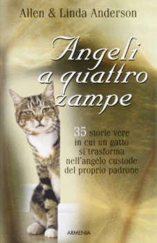 angeli a quattro zampe 35 storie vere in cui un gatto si trasforma ne