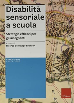 disabilita sensoriale a scuola strategie efficaci per gli insegnanti