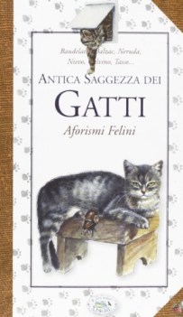 antica saggezza dei gatti aforismi felini