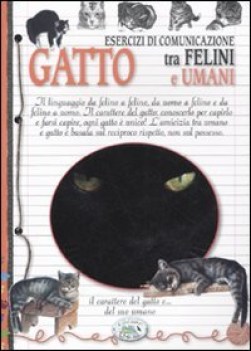 gatto esercizi di comunicazione tra felini e umani