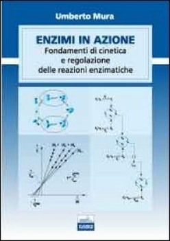 ENZIMI IN AZIONE. FONDAMENTI DI CINETICA E REGOLAZIONE DELLE FUNZIONI