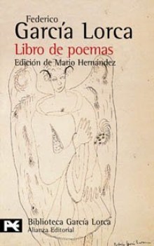 libro de poemas