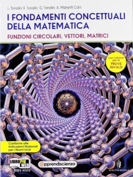 fondamenti concettuali d/matem.alg.1 (3t matematica ginn.,licei