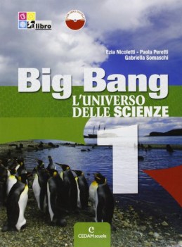 big bang l\'universo delle scienze 1 +cd scienze scuola media