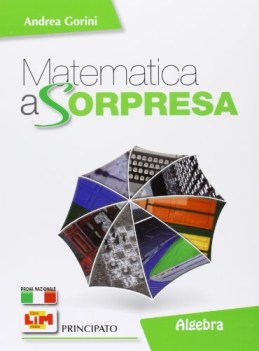 matematica a sorpresa 3 algebra+geom.