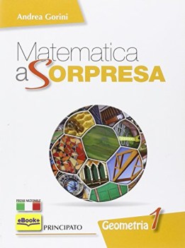 matematica a sorpresa 1 geometria matematica sc.media