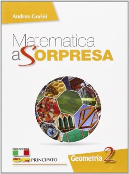 matematica a sorpresa 2 geometria