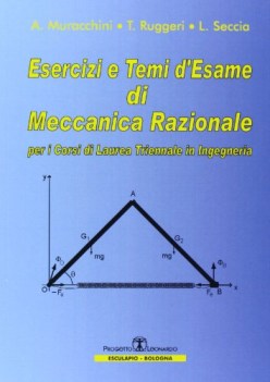 esercizi e temi d\'esame FC 2013 di meccanica razionale