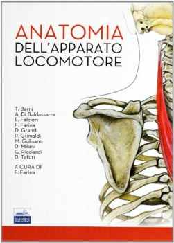 anatomia dell\'apparato locomotore