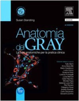 anatomia del gray