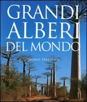 grandi alberi del mondo