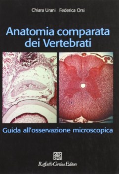 anatomia comparata dei vertebrati