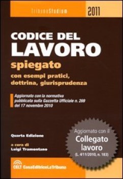 codice del lavoro spiegato