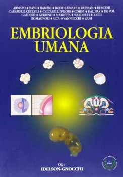 embriologia umana