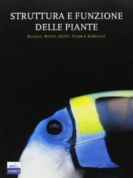 struttura e funzioni delle piante