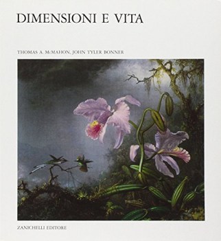 dimensione e vita