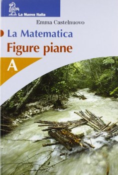 matematica (la) - figure piane a