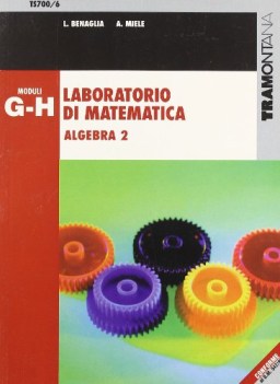 laboratorio di matematica g + h (700/6)